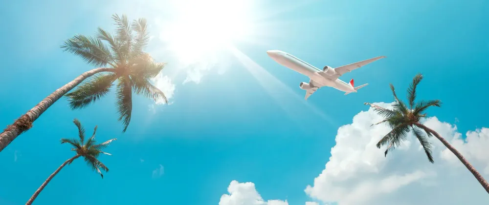 Airplane flying in sunny sky above palm trees